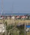 Margaritka 29