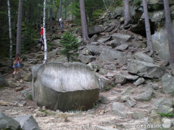 Экскурсия Стежка Довбуша (Украина, Яремче) фото