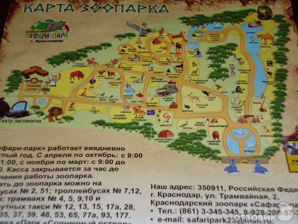 Купить Билет В Сафари Парк Краснодар
