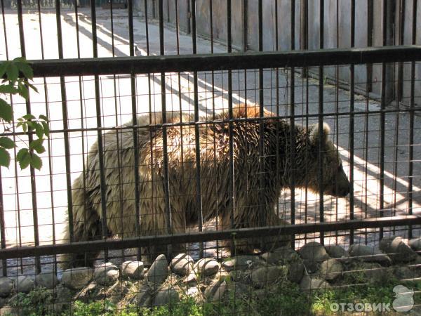 Купить Билет В Сафари Парк Краснодар
