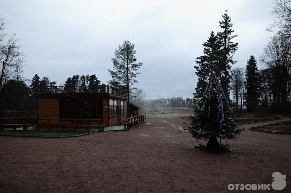 База отдыха Большие камни фото