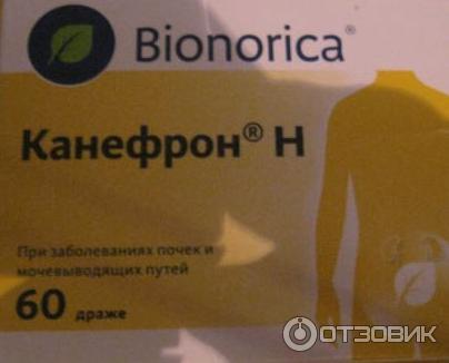 Лекарственное средство Канефрон Н Bionorica фото