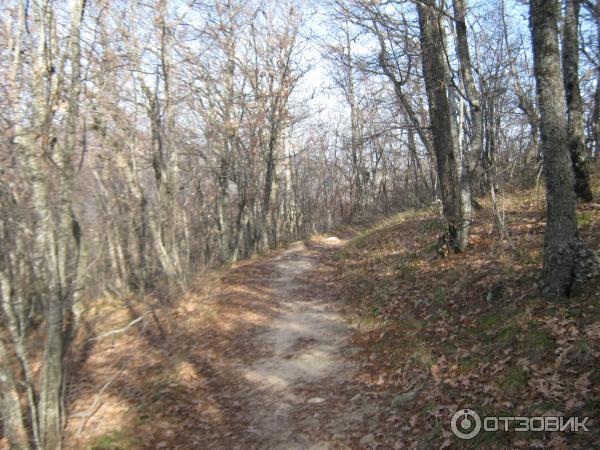 Топловский Свято-Троице-Параскевиевский женский монастырь (Украина, Крым) фото