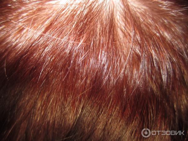 Краска для волос Garnier Color Naturals creme фото