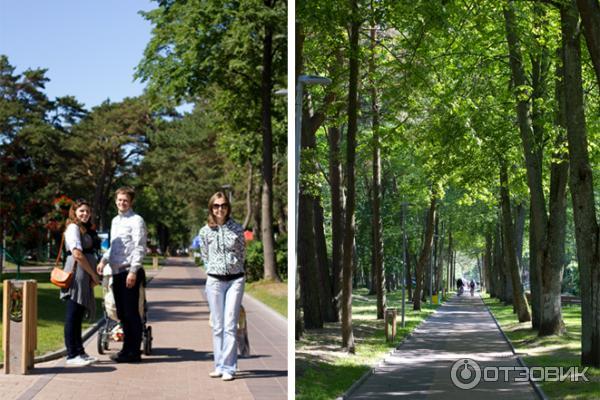 Город Паланга (Литва, Паланга) фото