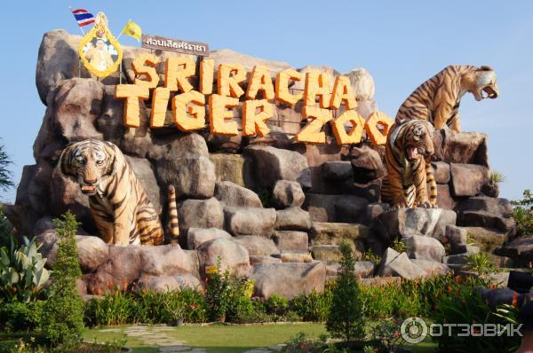 Тигровый зоопарк Sriracha Tiger Zoo (Тайланд, Паттайя) фото