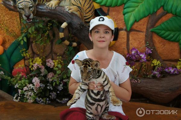 Тигровый зоопарк Sriracha Tiger Zoo (Тайланд, Паттайя) фото