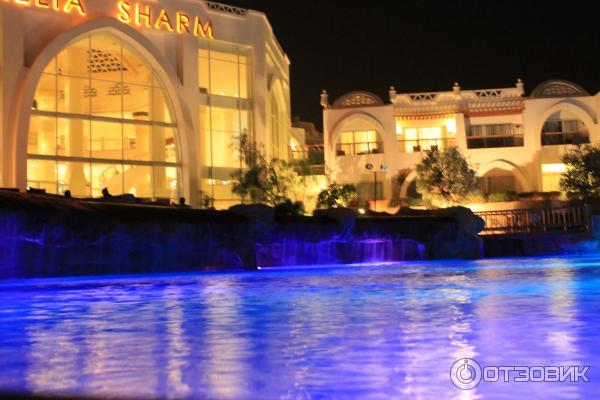 Отель Melia Sharm 5* (Египет, Шарм-эль-Шейх) фото