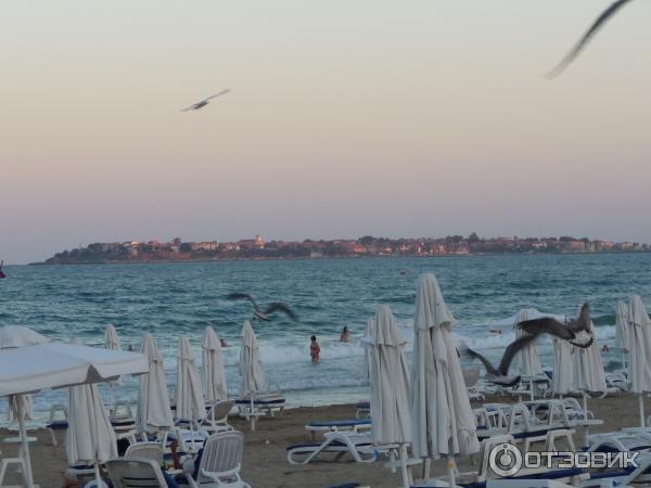 Отель Azurro 3 * (Болгария, Солнечный берег) фото