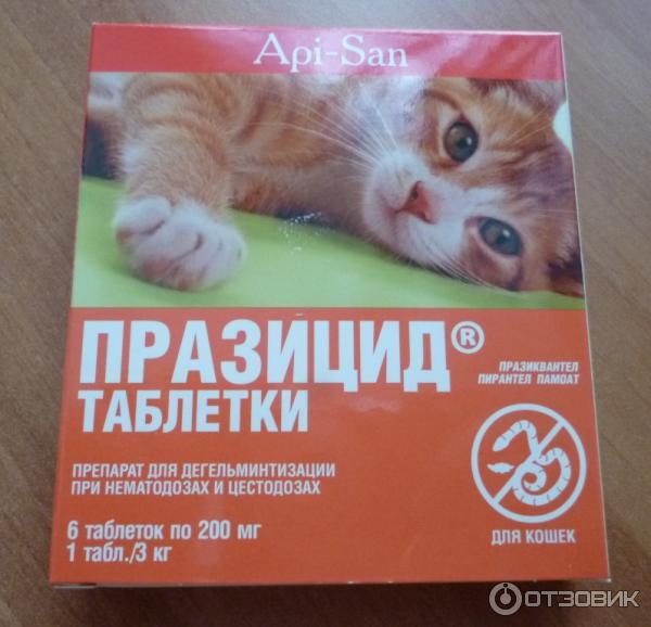 Таблетки празицид для кошек