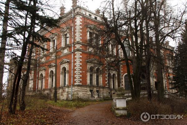 Церковь Владимирской иконы Божией Матери (Россия, Московская область) фото