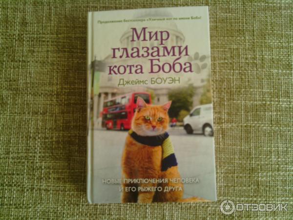 Книга глазами кота. Мир глазами кота Боба книга. Боуэн мир глазами кота Боба. Приключения кота Боба книга. Мир глазами кота Боба книга продолжение.