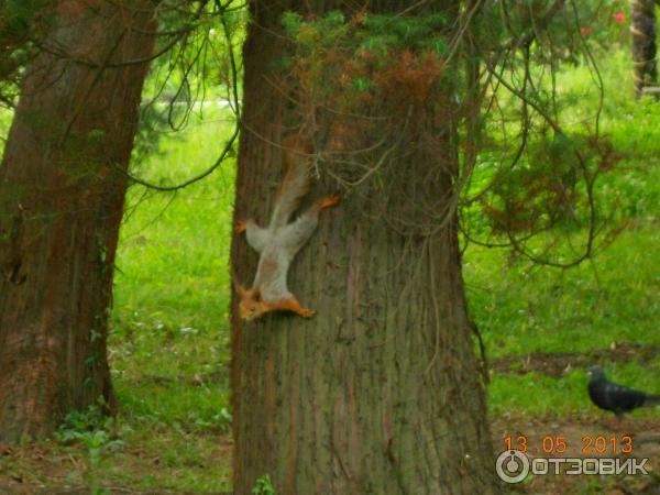 Санаторий Южное Взморье (Россия, Сочи) фото