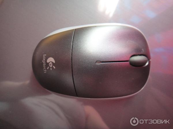 Мышь Logitech Wireless Mouse M215 фото