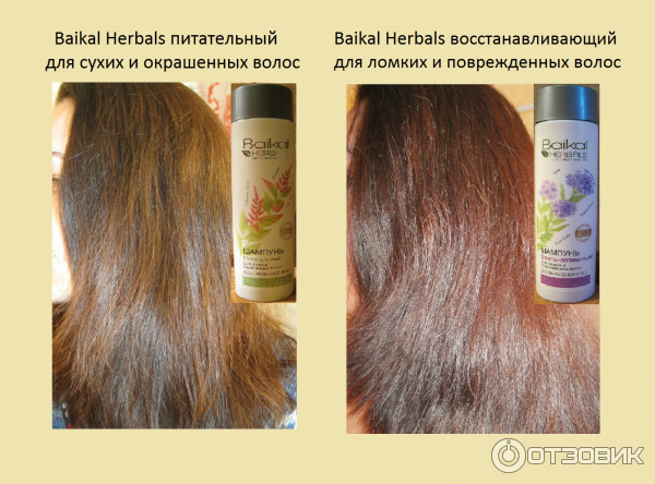 Шампунь Baikal Herbals восстанавливающий для ломких и поврежденных волос фото