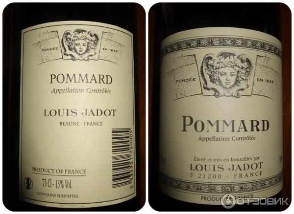 Красное сухое вино Louis Jadot Pommard фото