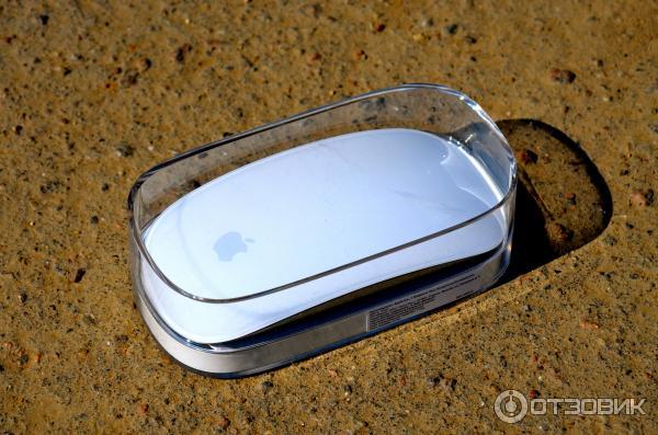 Apple Magic Mouse поставляется в некрасивой картонной коробке, внутри которой лежит прозрачный пластиковый чехол, где практически без болтаний обитает сама магическая мышь.