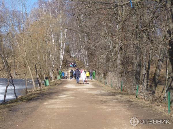 Ясная Поляна (Россия, Тульская область) фото