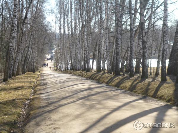 Ясная Поляна (Россия, Тульская область) фото