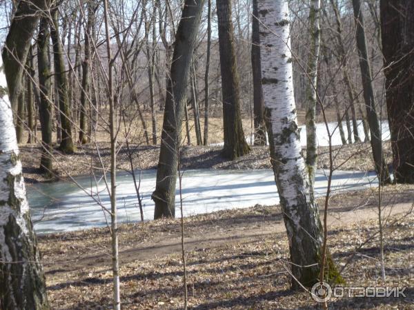 Ясная Поляна (Россия, Тульская область) фото