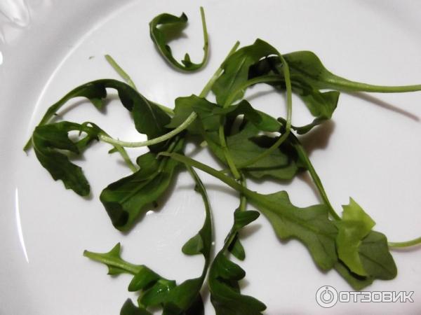 Лист фит. Микс салатных листьев. Салат с острыми листьями. Салатный микс тонкие листья. Крылышки к столу салатными листьями.