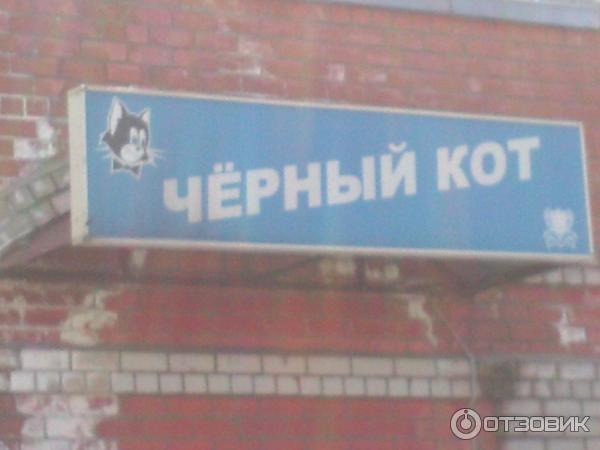 Черный кот череповец