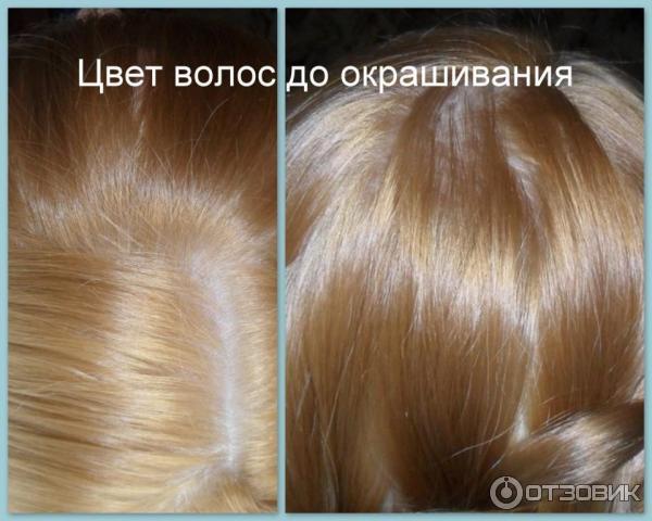 Стойкая крем-краска для волос Schwarzkopf Palette фото