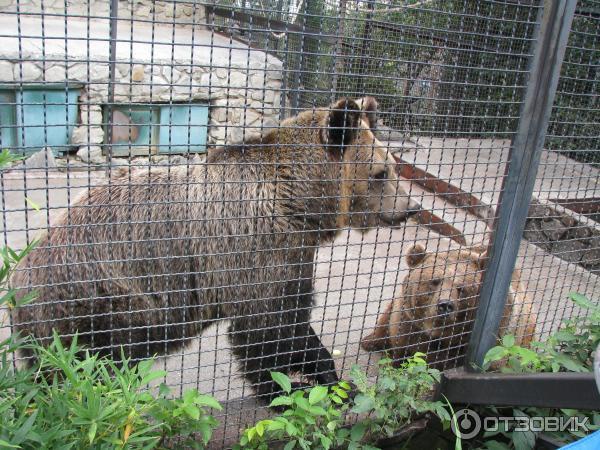 Ялтинский зоопарк Сказка (Украина, Крым) фото