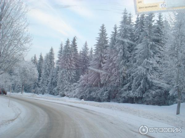 Отдых г. Берегово (Украина, Закарпатская область) фото