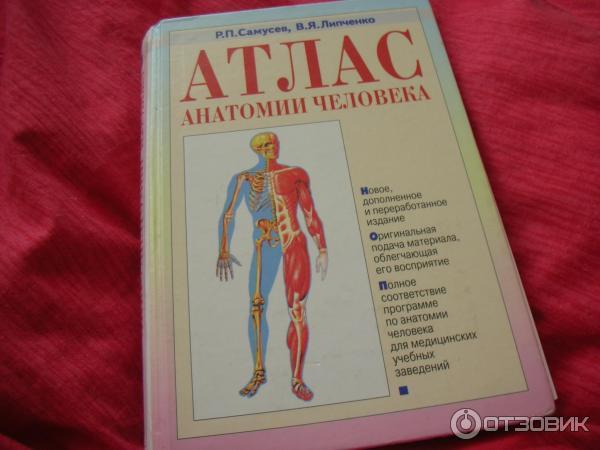 Анатомия пособие для вузов. Анатомический атлас Самусев Липченко. Атлас анатомии человека Самусев 2003. Атлас по анатомии человека для медицинских вузов Самусев. Липченко атлас анатомии человека.