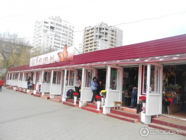 Самарский губернский рынок ул агибалова 19 отзывы. Губернский рынок Самара. Губернский рынок павильоны. Самара Губернский рынок внутри.