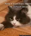 viktoriya1611