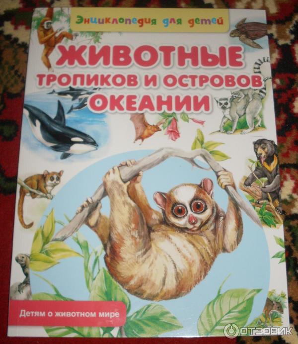 Реггианова райская птица. Энциклопедия животных. Обитатели сельвы южной америки. Животные тропических лесов. Сельва южной америки животный мир.