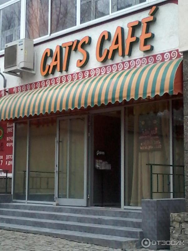 Cats cafe