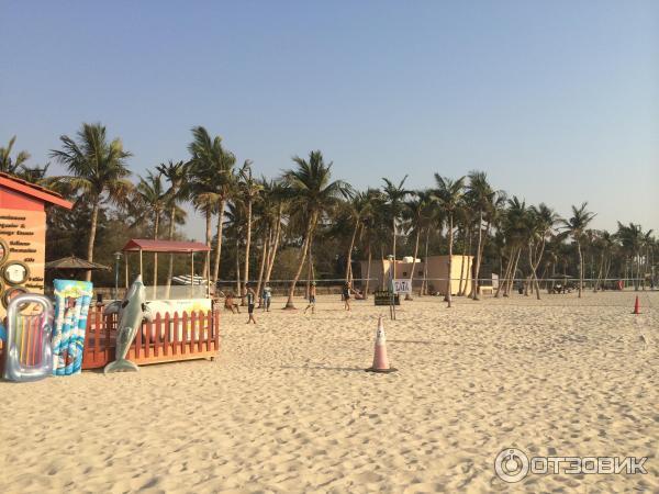 Пляж Jumeirah Beach Park (ОАЭ, Дубаи) фото