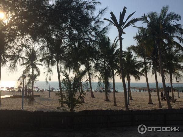 Пляж Jumeirah Beach Park (ОАЭ, Дубаи) фото