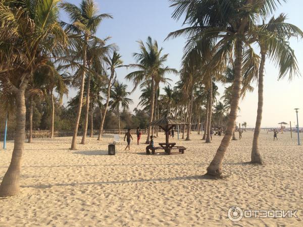 Пляж Jumeirah Beach Park (ОАЭ, Дубаи) фото