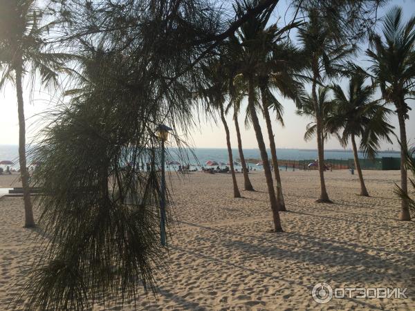 Пляж Jumeirah Beach Park (ОАЭ, Дубаи) фото