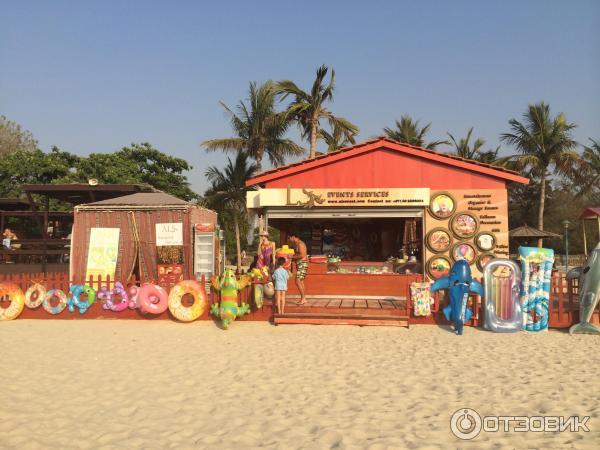 Пляж Jumeirah Beach Park (ОАЭ, Дубаи) фото