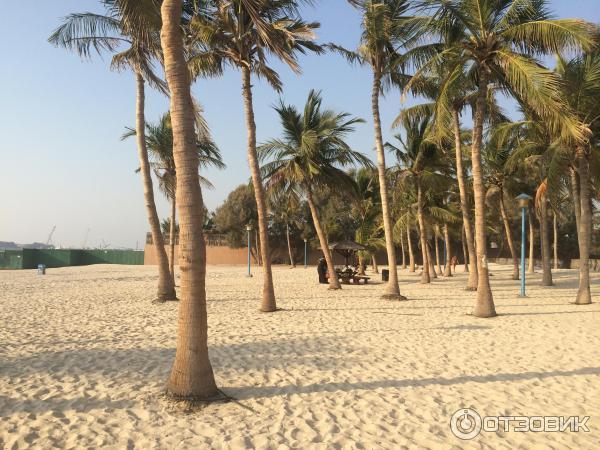 Пляж Jumeirah Beach Park (ОАЭ, Дубаи) фото