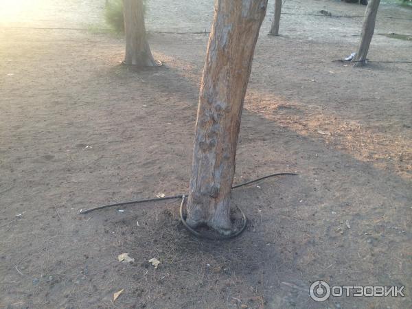 Пляж Jumeirah Beach Park (ОАЭ, Дубаи) фото