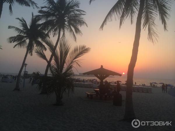 Пляж Jumeirah Beach Park (ОАЭ, Дубаи) фото