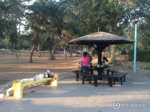 Пляж Jumeirah Beach Park (ОАЭ, Дубаи) фото