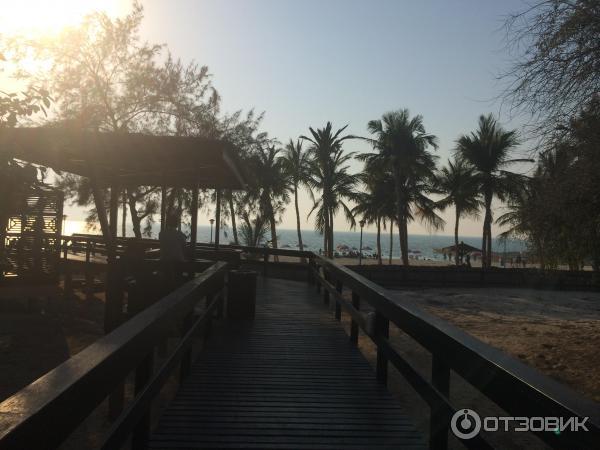 Пляж Jumeirah Beach Park (ОАЭ, Дубаи) фото