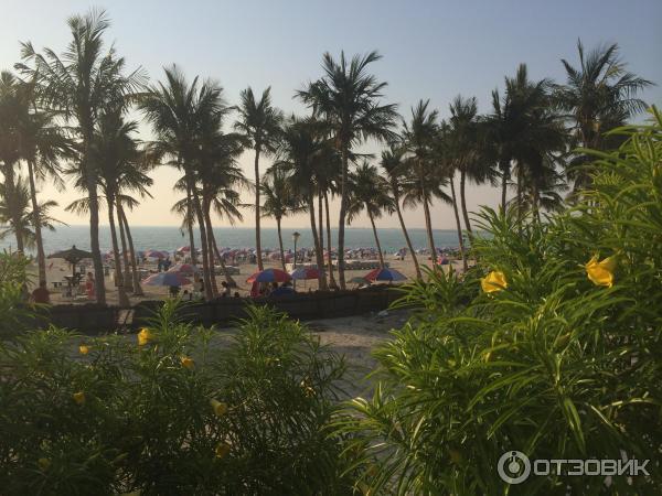 Пляж Jumeirah Beach Park (ОАЭ, Дубаи) фото