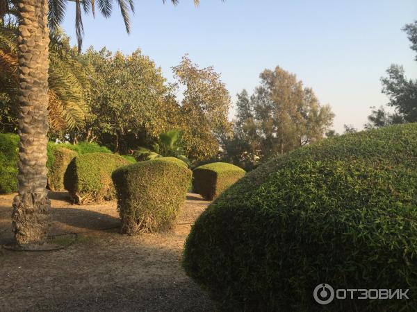 Пляж Jumeirah Beach Park (ОАЭ, Дубаи) фото