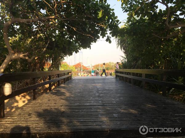 Пляж Jumeirah Beach Park (ОАЭ, Дубаи) фото