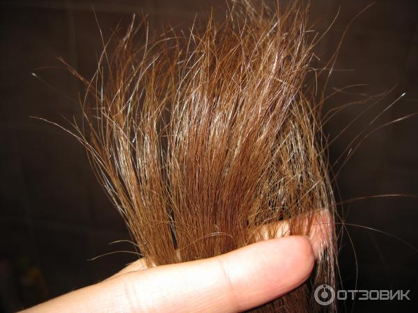 Волосы жесткие как проволока. Снятся волосы. Причины врастания волос. Пушистые пористые волосы. Жесткие волосы причина.