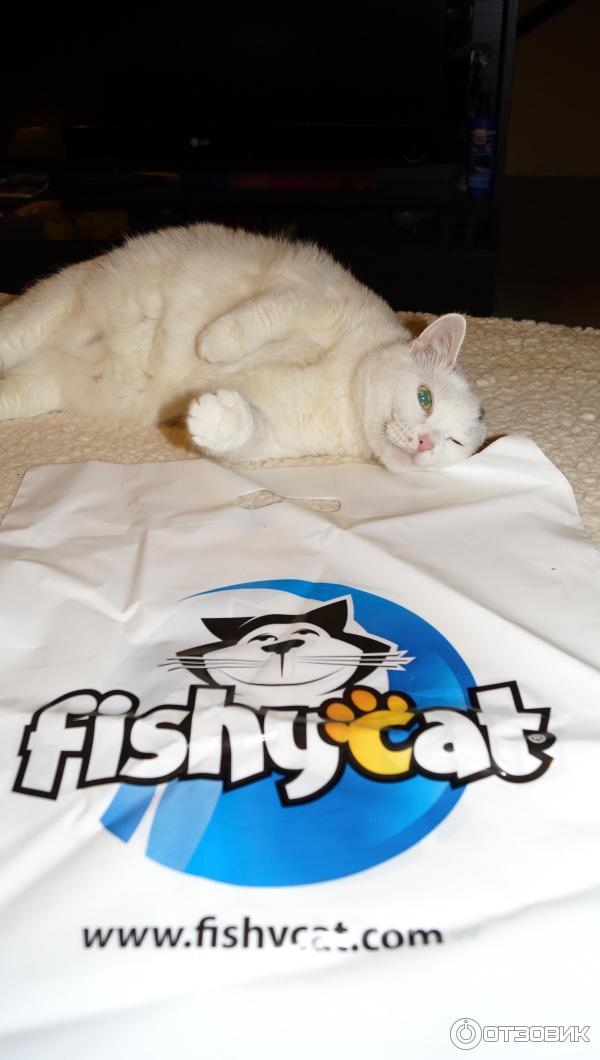 Воблеры от FishyCat фото