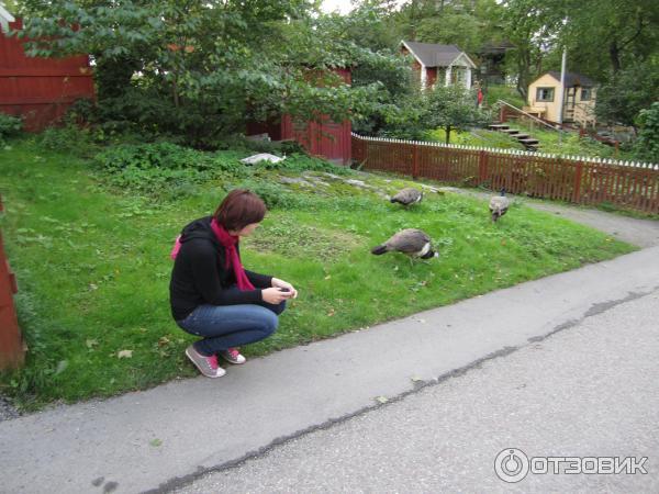 Стокгольм. Музей Скансен